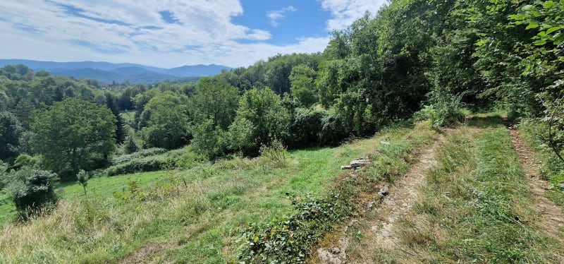Belle balade tranquille, ombre et soleil. Bien signalée. - Montseron