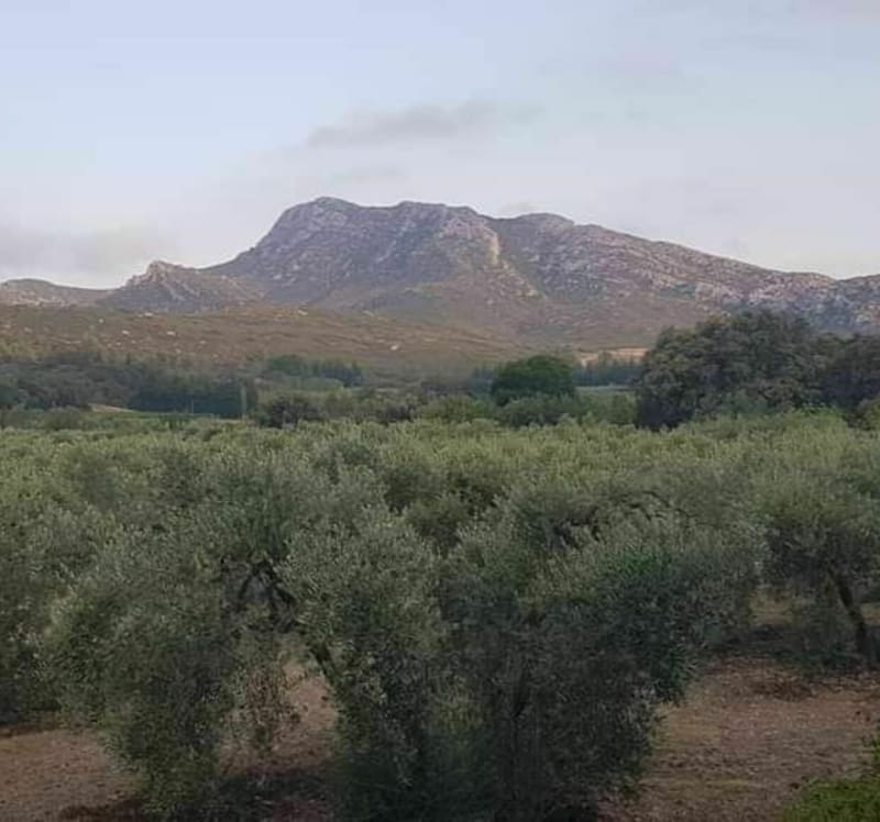 Vallon des Glauges et Villa Gallo-romaine de St-Pierre de Vence - Eyguières