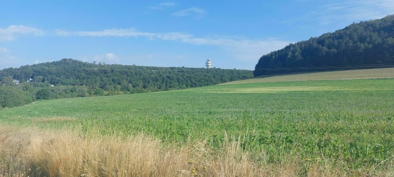Tour du Mont Afrique - Dijon