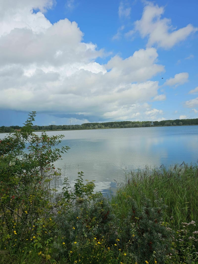 Marche au lac de Téteghem - Téteghem-Coudekerque-Village