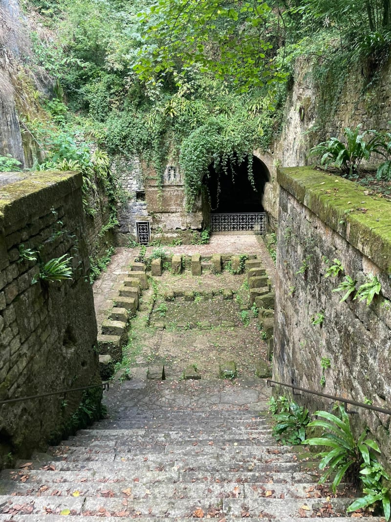 Boucle Saintes - Vénérand dans les sous-bois - Saintes