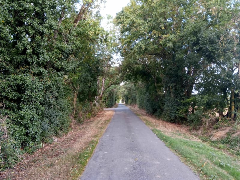 Balade autour du Bois de l'Encens - Virson