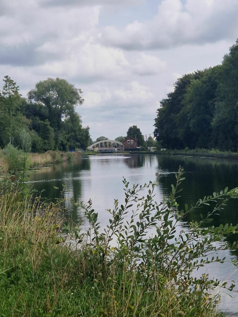Promenade dans le marais de Biache - Biache-Saint-Vaast
