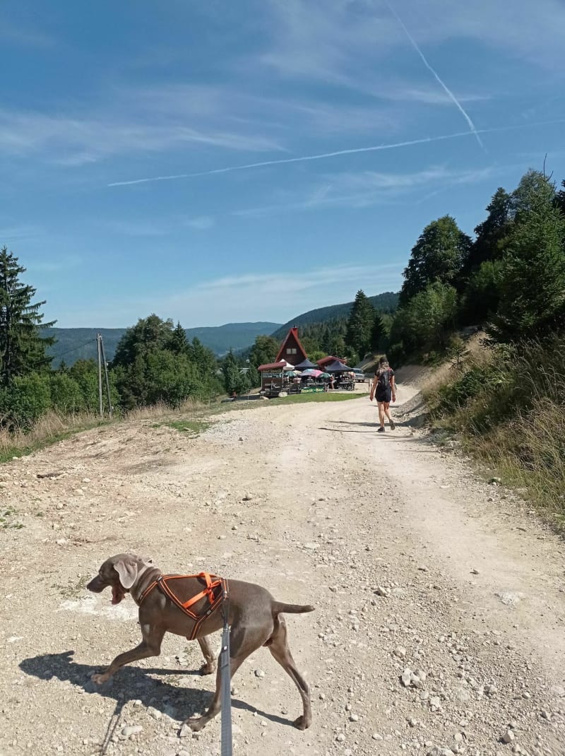 Boucle Lélex centre - Chalet du ratou - Lélex