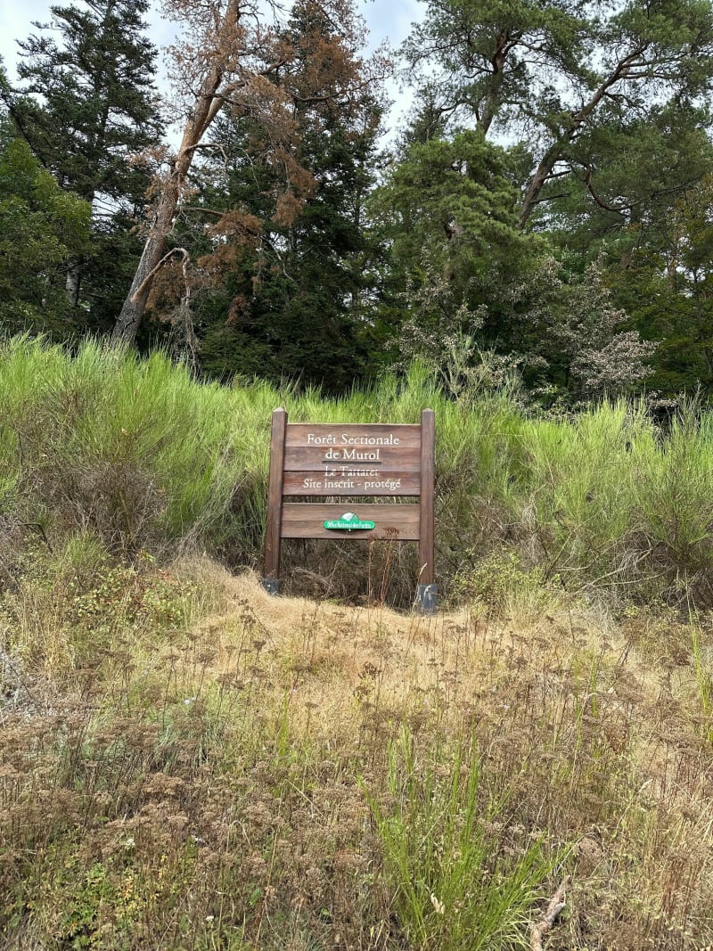 Parcours de santé du Tartaret à Murol - Saint-Victor-la-Rivière