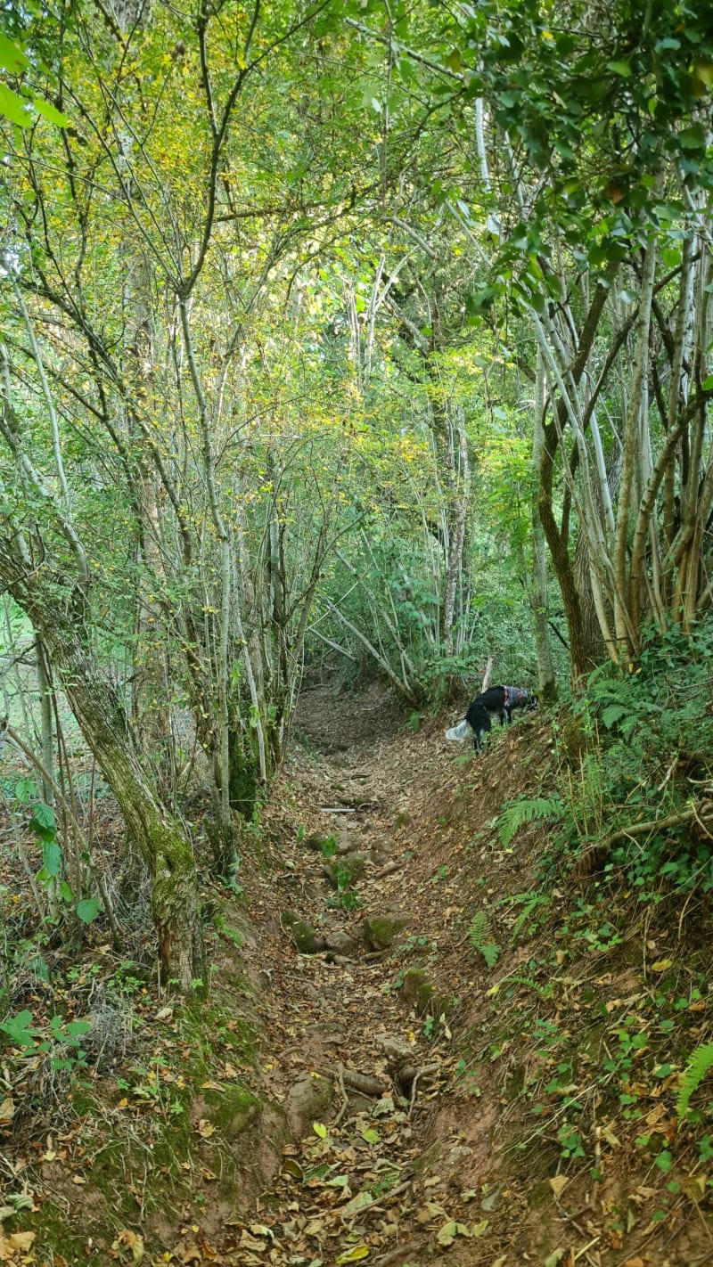Chemin des enfarinés - Villecomtal