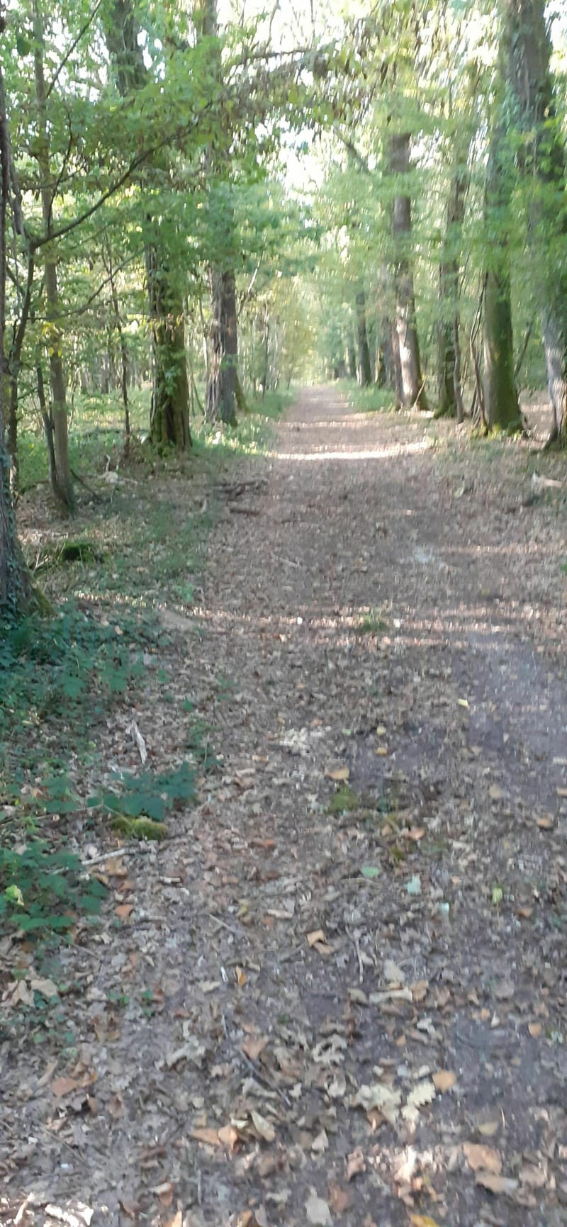 Randonnée champêtre à Migny - Migny