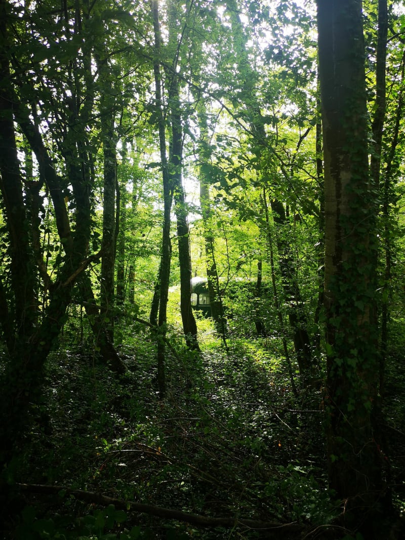 Chemin de Jeanne d'Arc et Etang du Coudray à Bléneau - Bléneau