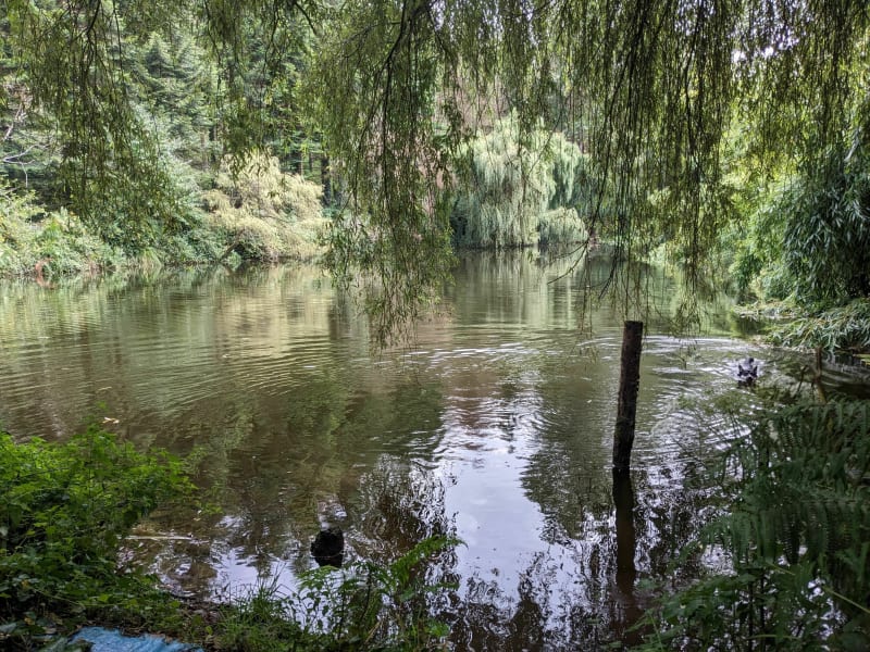 Vallée de la Douffine - Pleyben