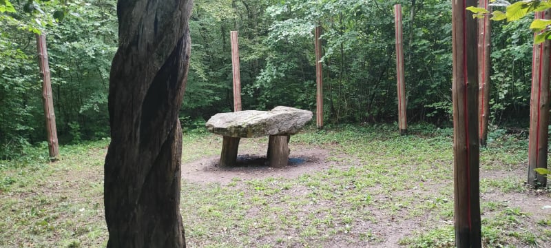 Belle balade en forêt de Dompcevrin - Dompcevrin