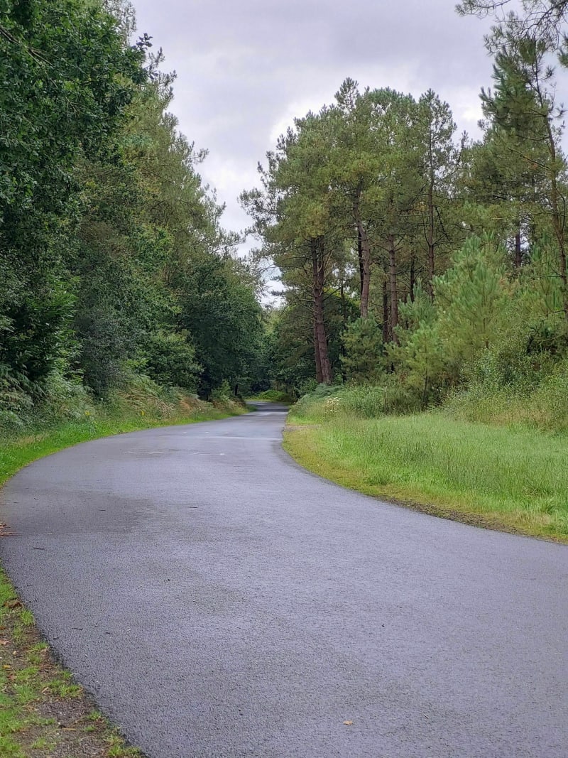 Autour du bois d'Avaugour - Plélo