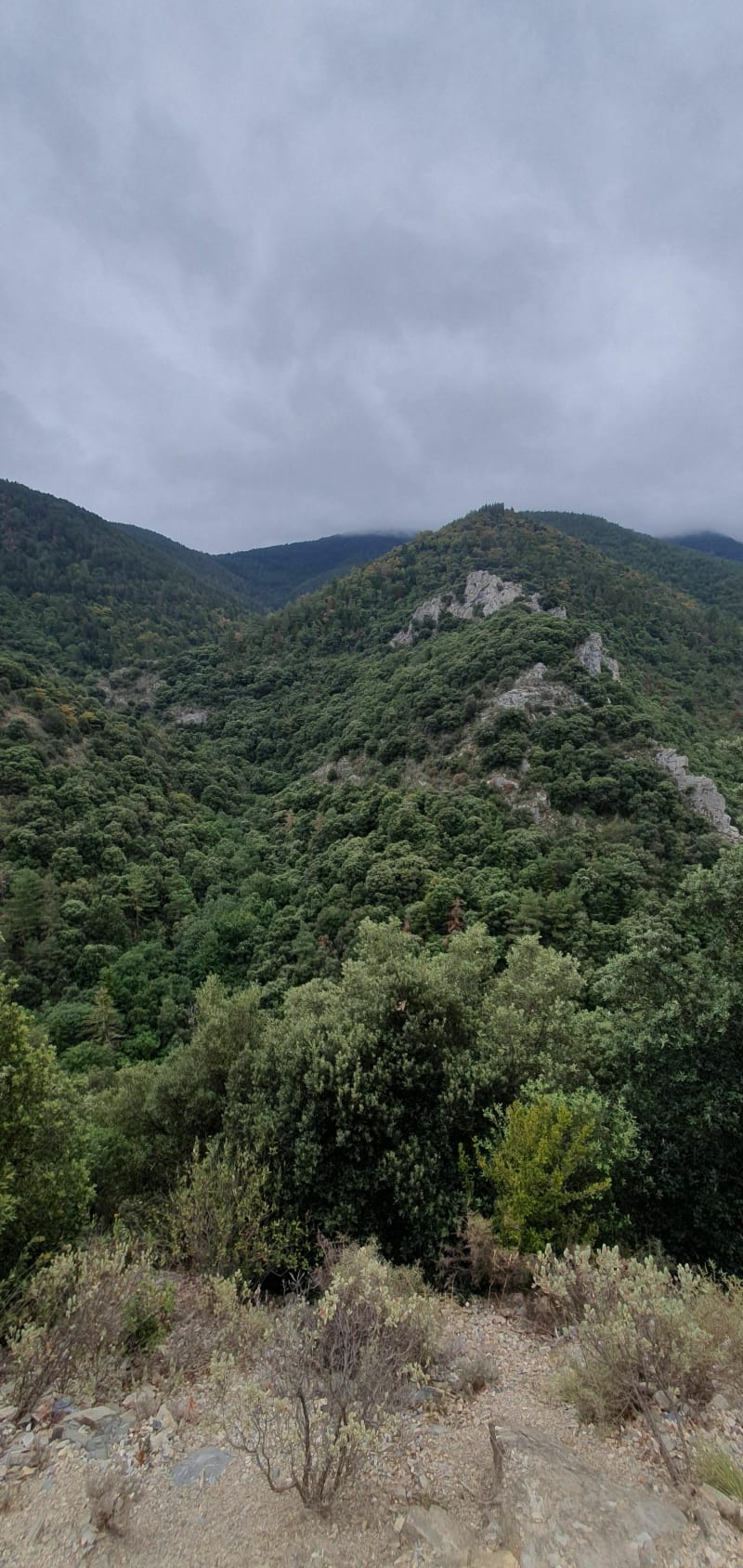 Randonnée autour du ravin de la Bène et forêt de Boucheville - Fenouillet