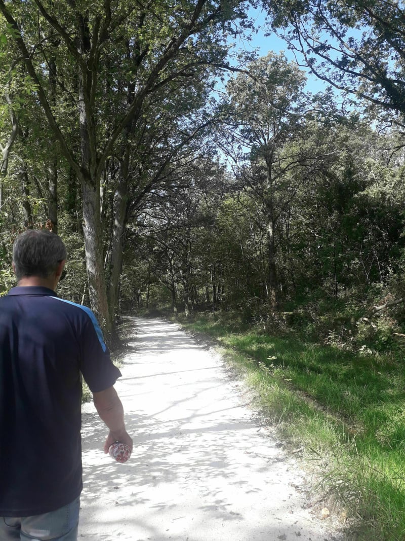 Entre bois et rigoles de Vauhallan - Vauhallan