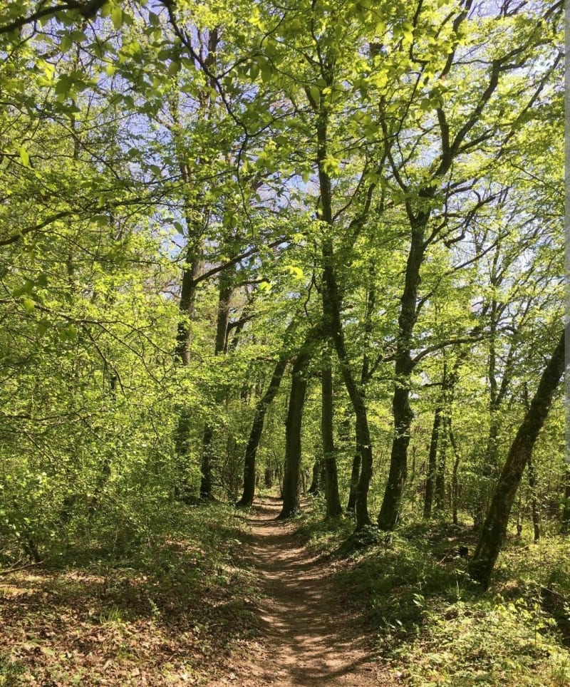 Balade en famille à Waldweistroff - Waldweistroff