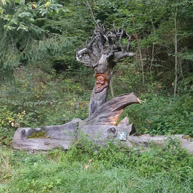 Chalet et Col du Sattelboden, et Col du Schirm - Masevaux-Niederbruck