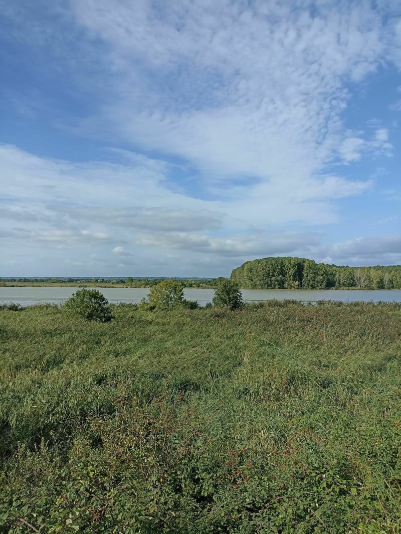 Le Pellerin, Loire et chemins - Le Pellerin