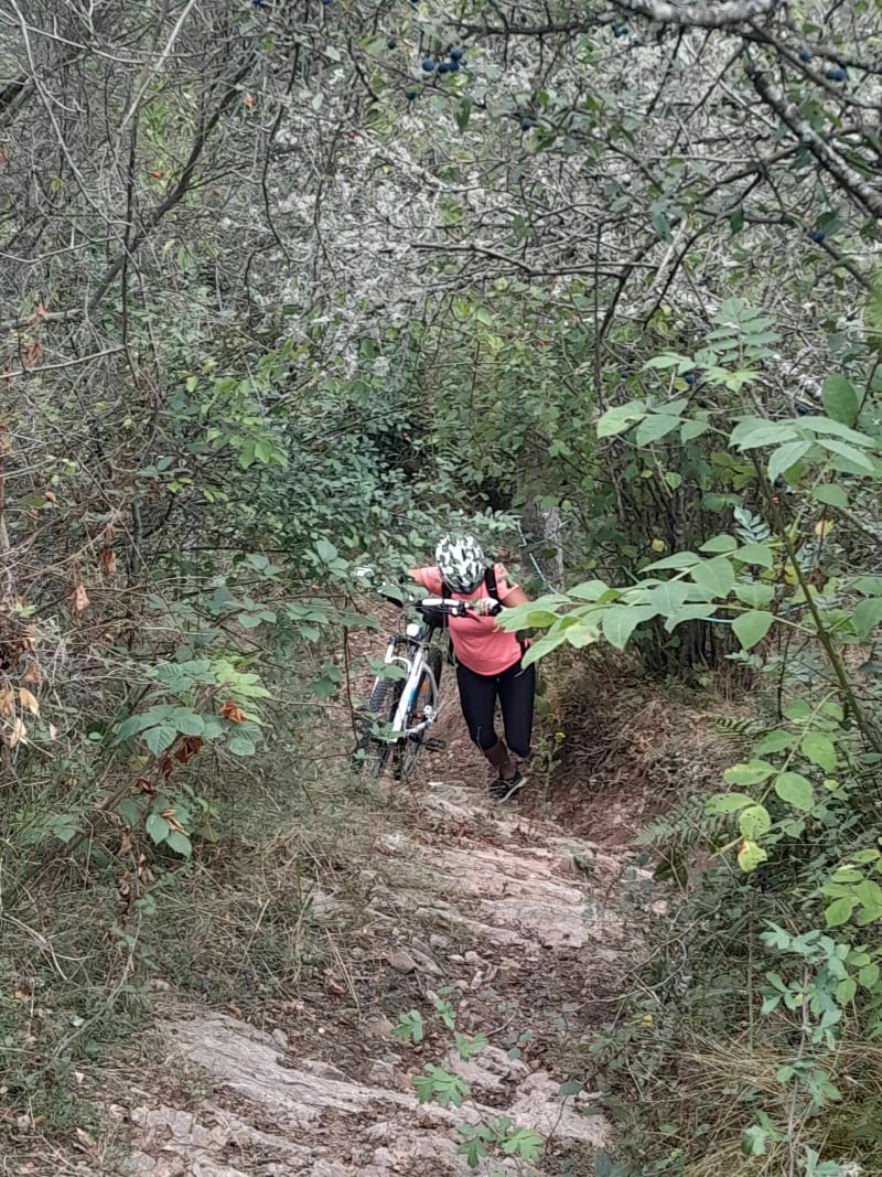 Balade dans les combes - Bussières-et-Pruns