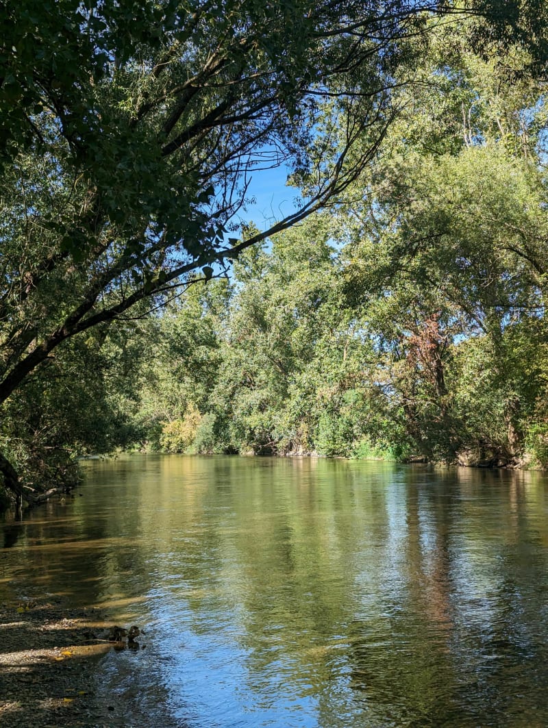 Marche à Ensisheim - Ensisheim