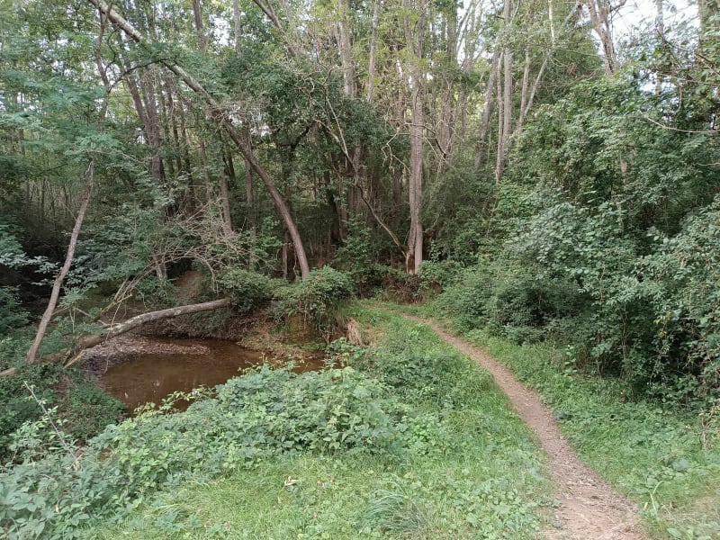 Autour de la motte féodale d'Orleix - Orleix