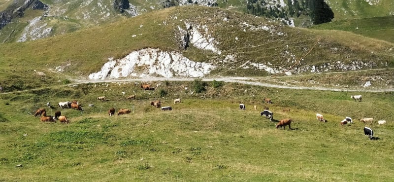 Col de la colombière à Combe des Fours - Le Reposoir