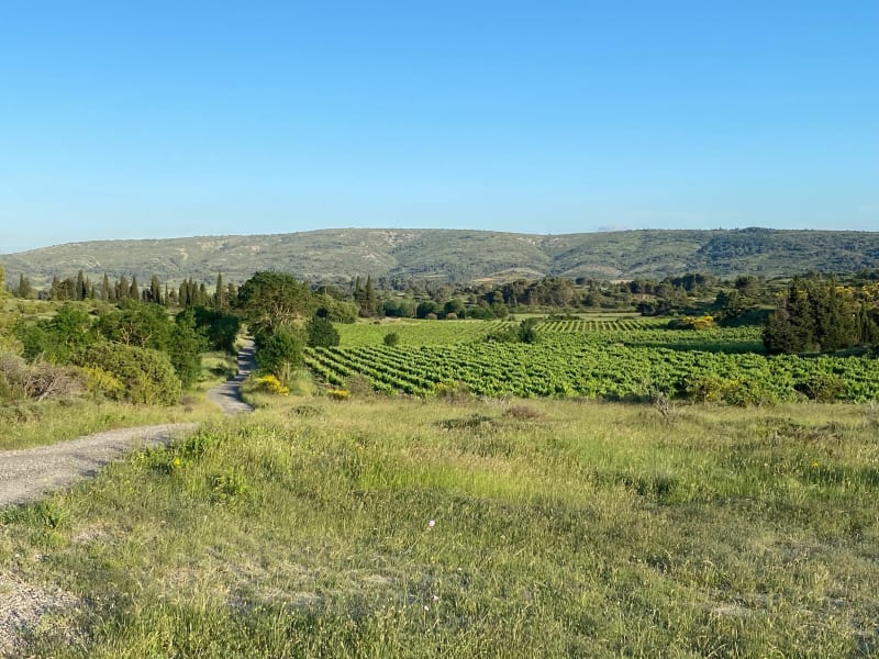 La Couscouillette par les crêtes et Montplaisir - Val-de-Dagne