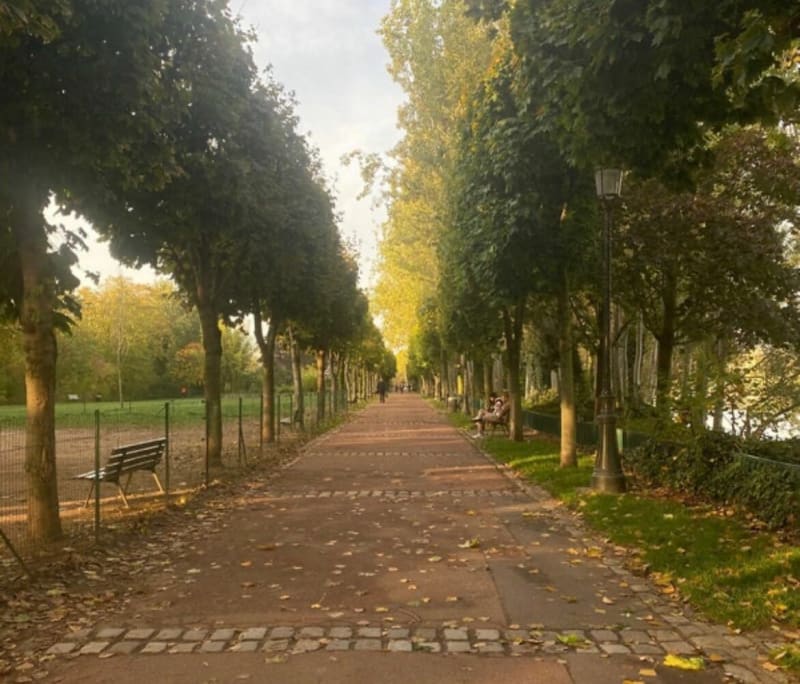 Balade de la Jatte à Courbevoie - Courbevoie