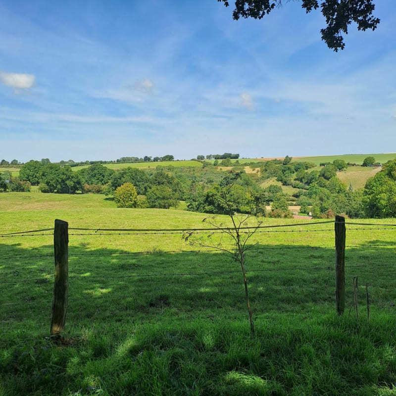 De la boue de la route et des cailloux à Barbery - Barbery