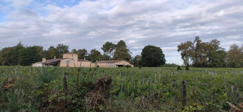 Balade au départ du bois de Savis - Castres-Gironde