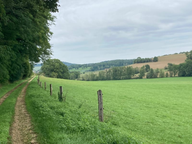 Balade de la stèle des aviateurs depuis Chauffourt - Chauffourt