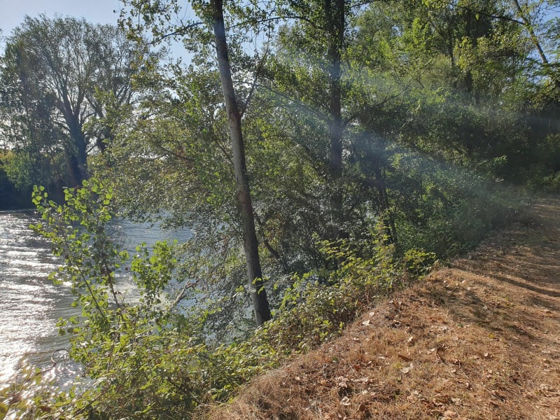 Entre coteaux et rivière du Tarn - Villemur-sur-Tarn