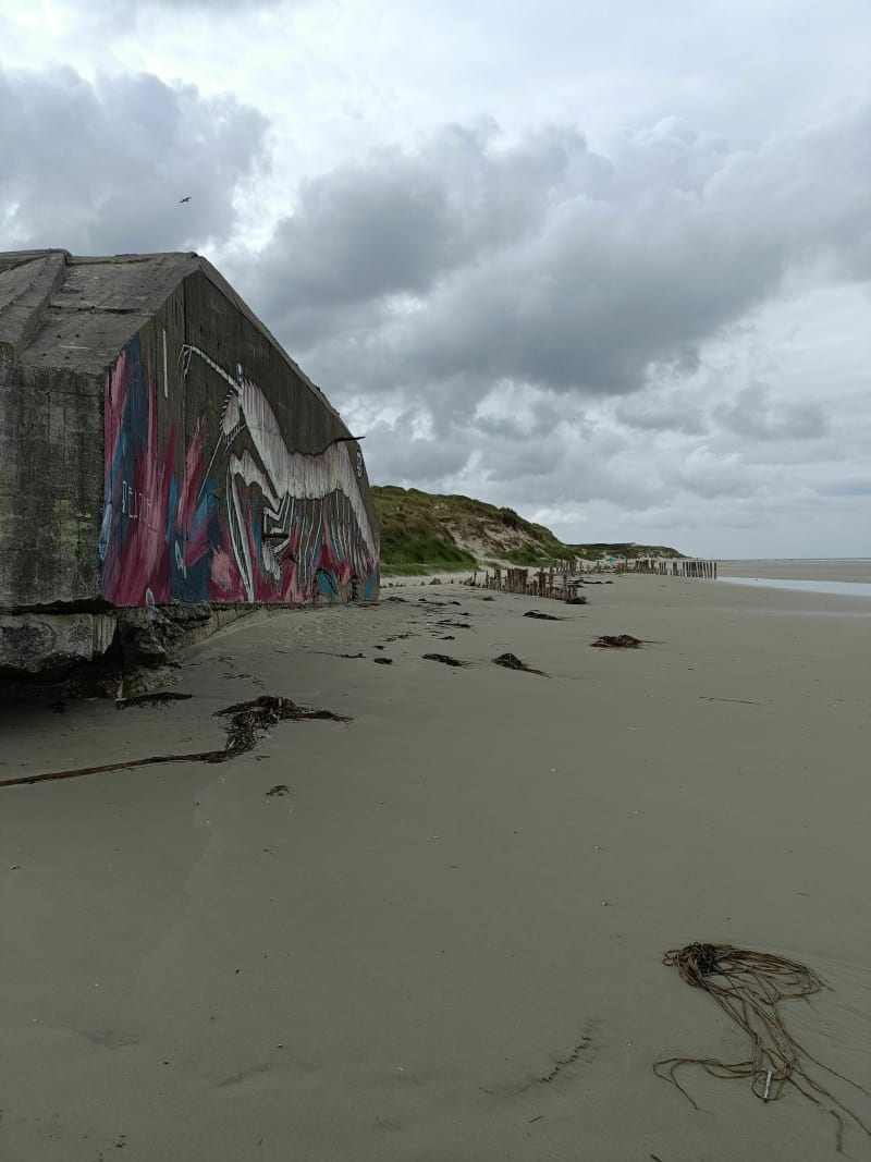 Plage de Sainte-Cécile - Camiers