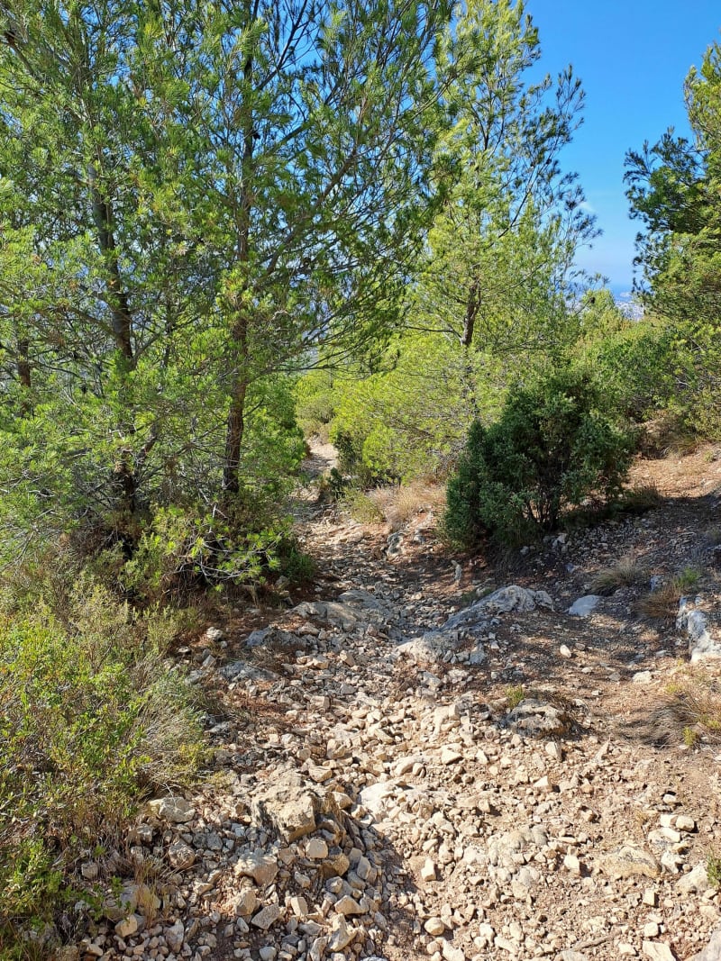 Balade entre Collet Redon - Petit Sanguin - Grande Etoile - Septèmes-les-Vallons