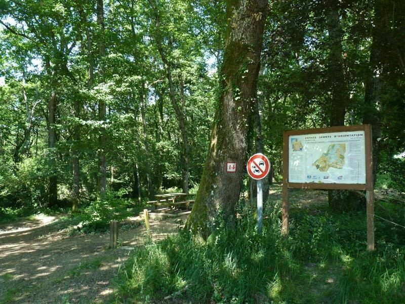 Balade dans le bois de Sauvagnon - Sauvagnon