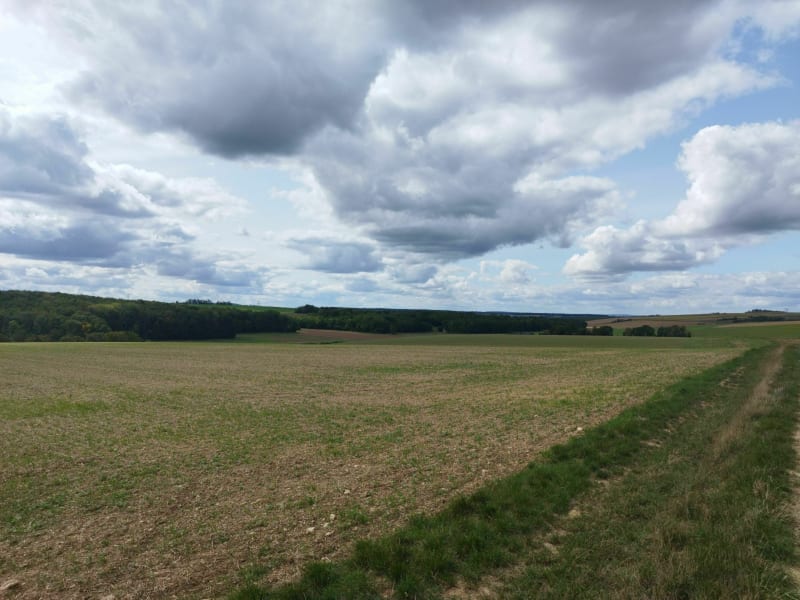 Campagne vallonnée autour de Varennes - Varennes