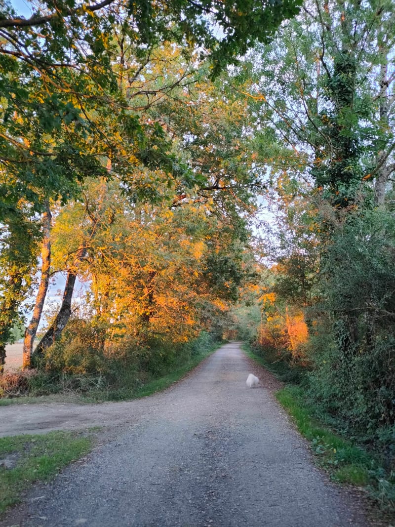 Petite balade dans Semblancay - Semblançay