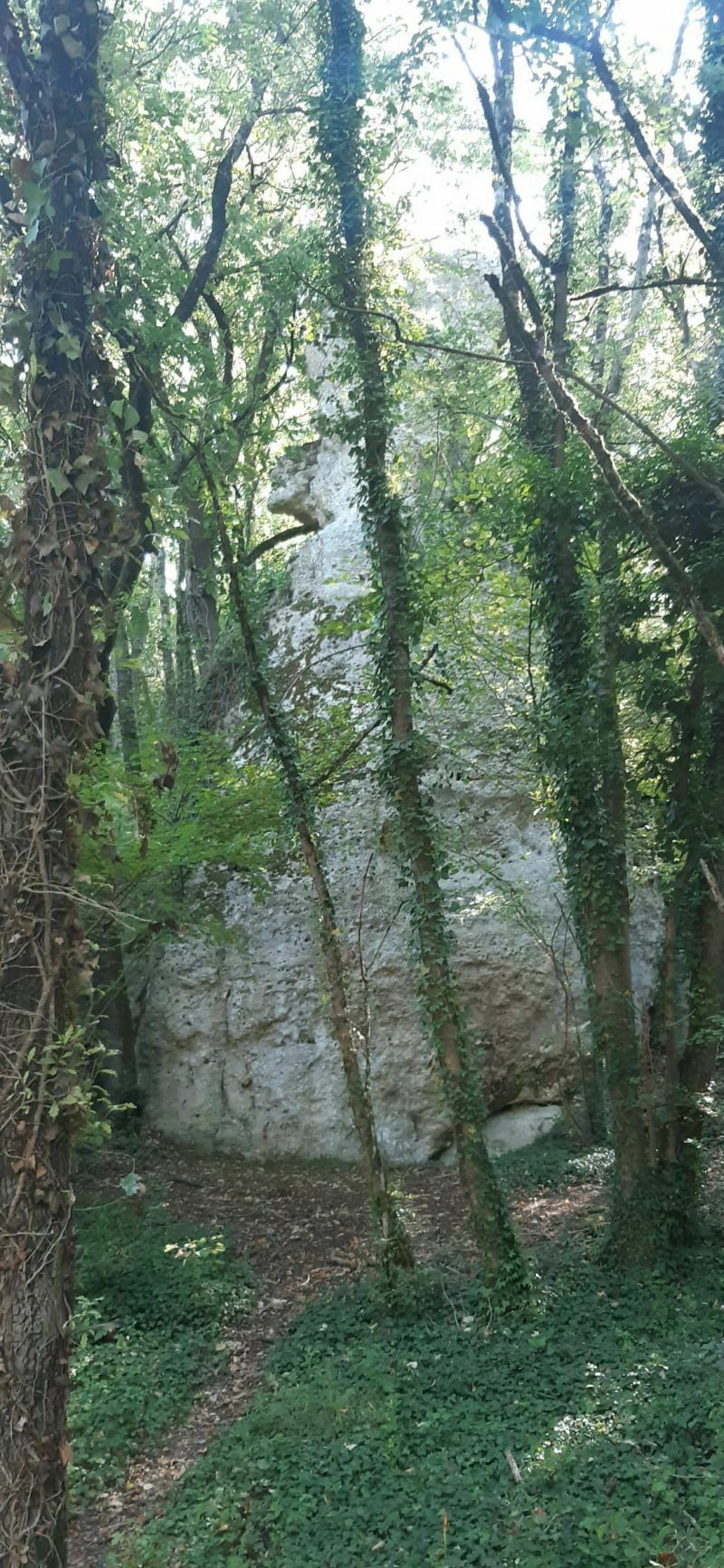 Entre falaises et coteaux de l'Anglin à Mérigny - Mérigny