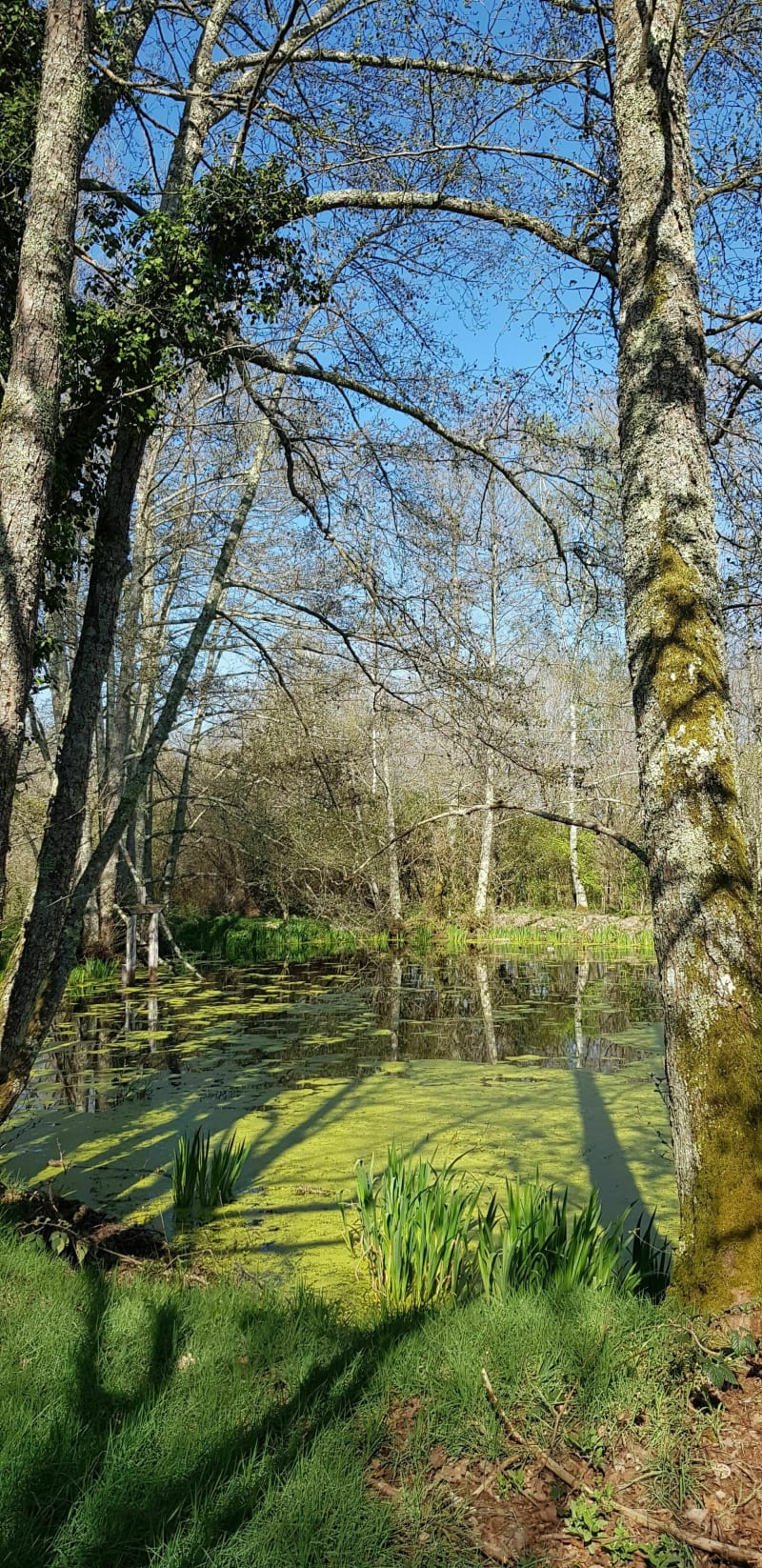 Autour de Marcilly-en-Villette - Marcilly-en-Villette