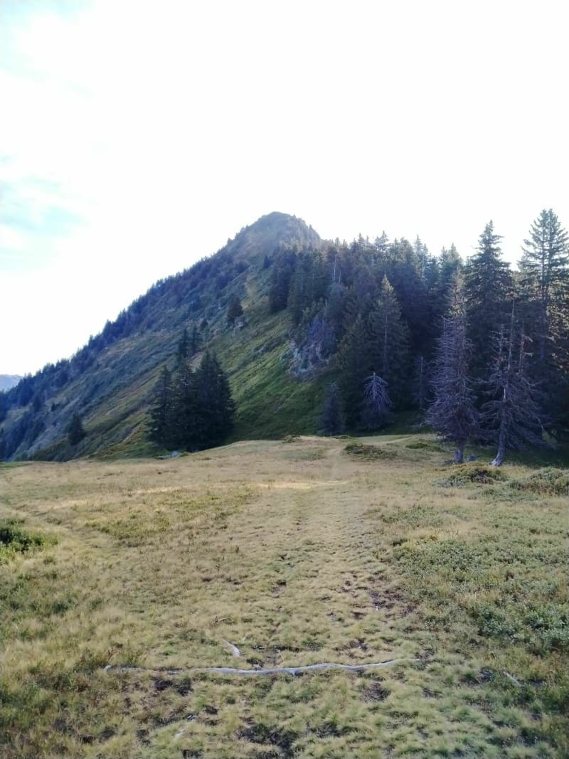 La Roche Pourrie par les Chappes - Venthon