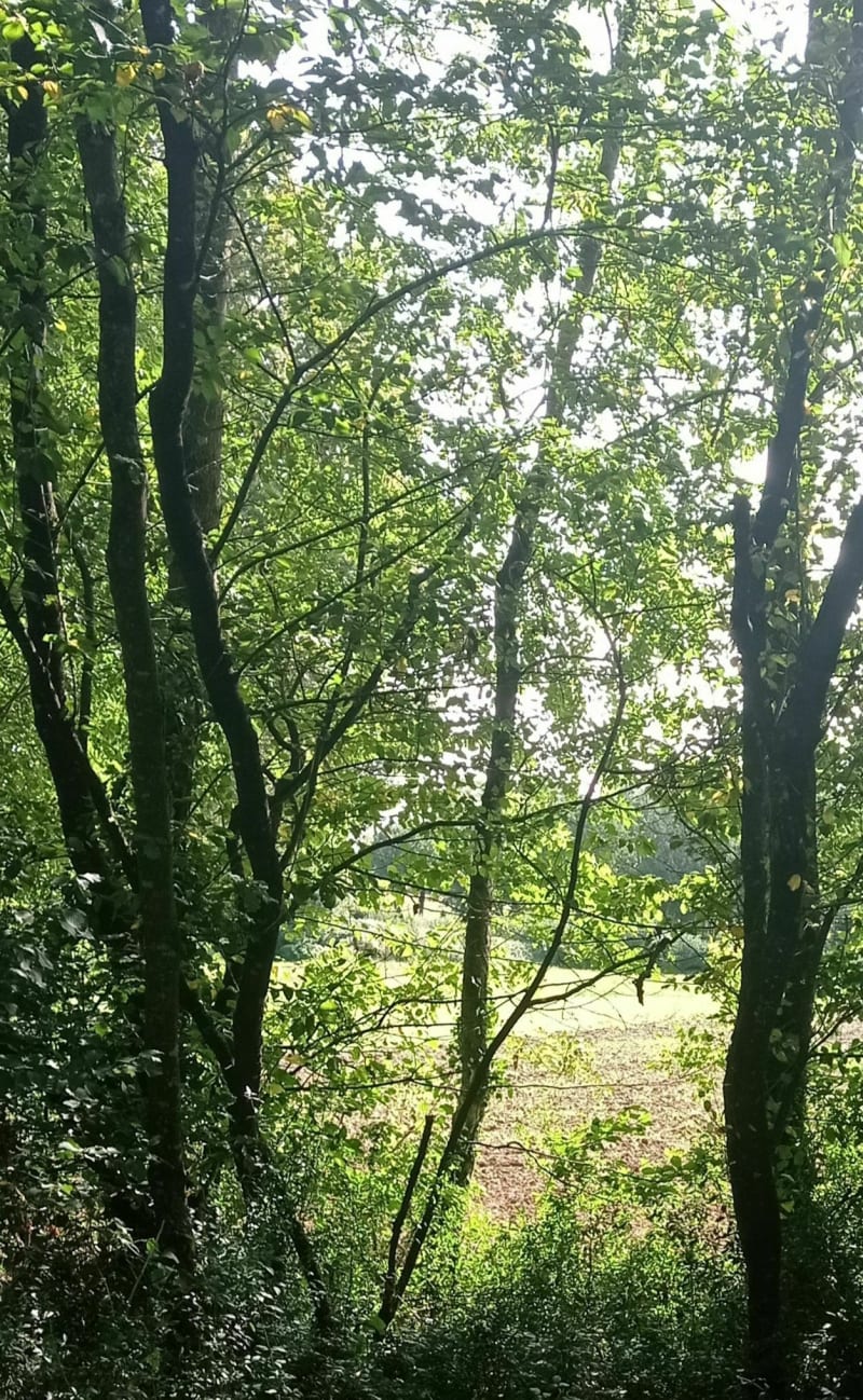 Voie verte Parthenay-Bressuire - Bressuire