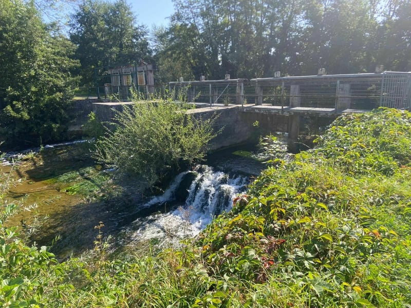 Boucle autour de Sermaize les Bains par le Canal de la Marne - Sermaize-les-Bains