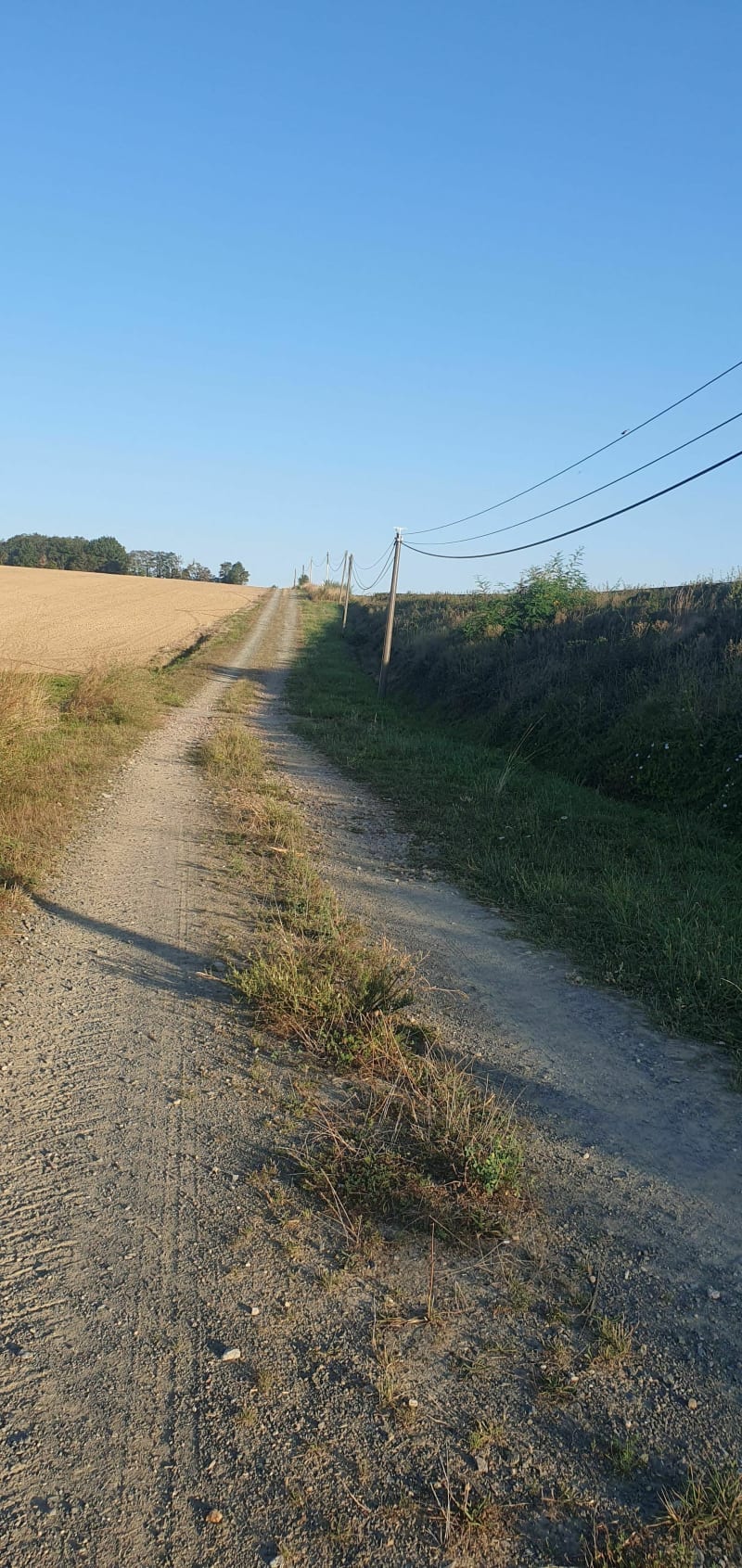 Balade champêtre à Courçais par le Paradis - Courçais