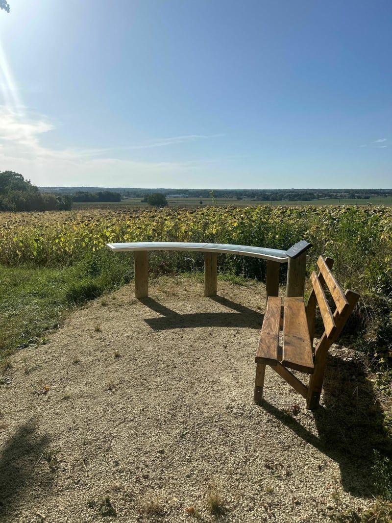 Belle balade dans les bois de Bords - Bords