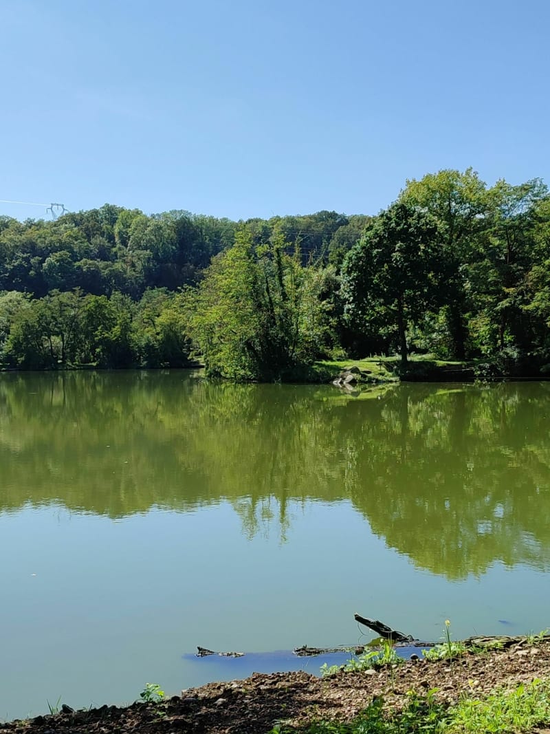 Petite balade ombragée autour d'un étang d'Autreville-sur-Moselle - Autreville-sur-Moselle
