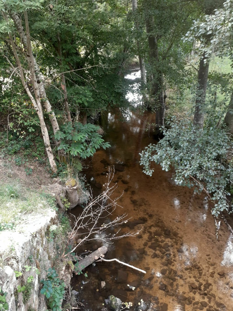 Balade autour de Soleymieux - Soleymieux