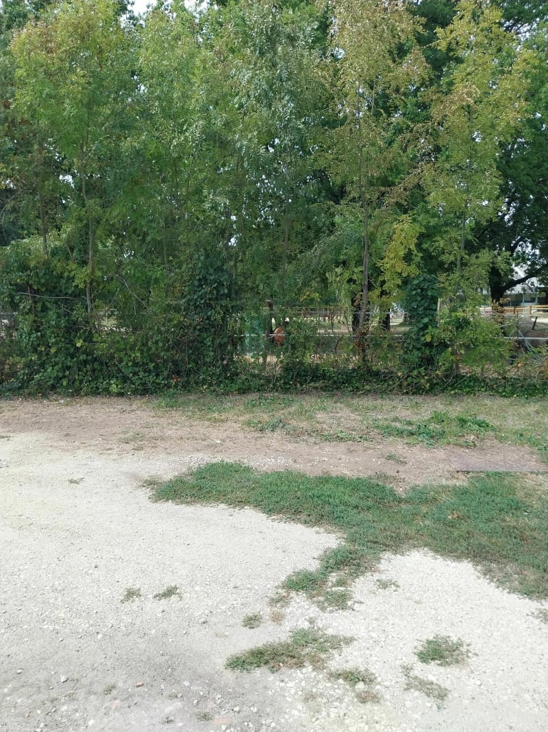 Petite balade au bord l'Isle Trelissac - Boulazac Isle Manoire