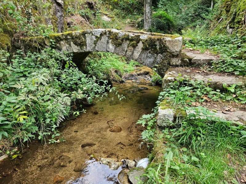 Le chemin des papetiers - Ambert