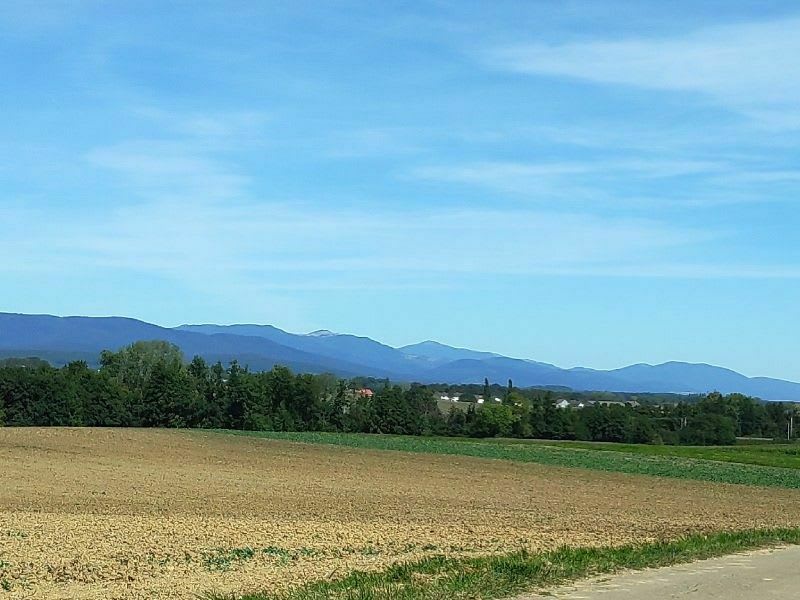 Balade de Montbéliard à Chèvremont avec belle vue sur les Vosges - Montbéliard