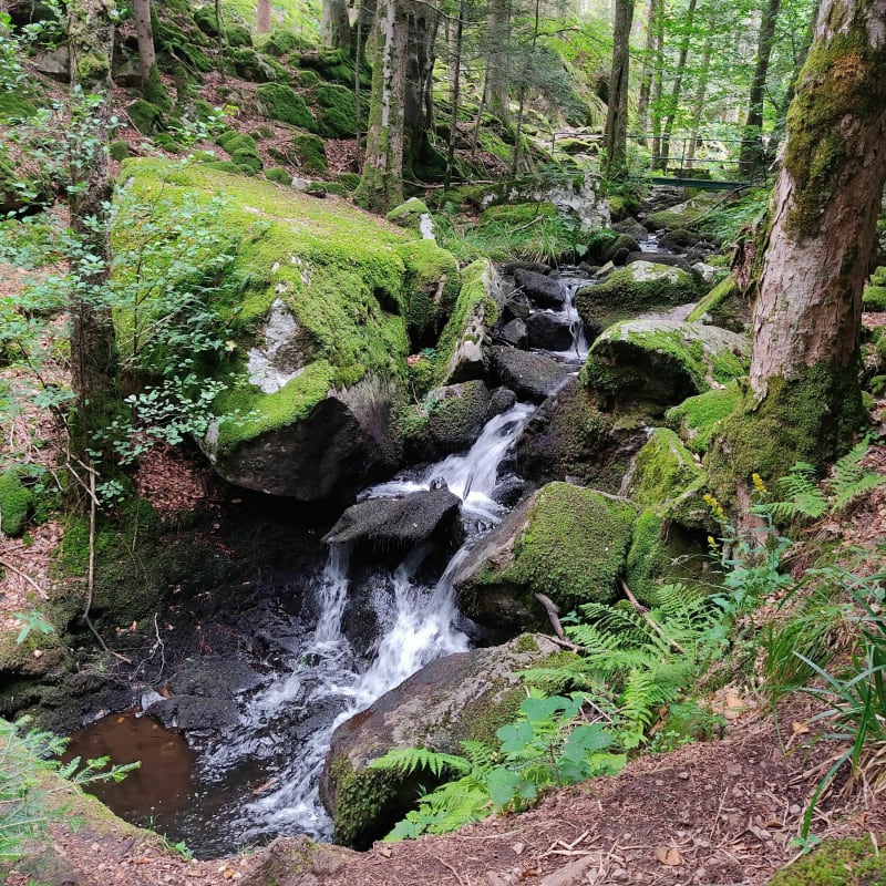 Lac du Neuweiher - Oberbruck