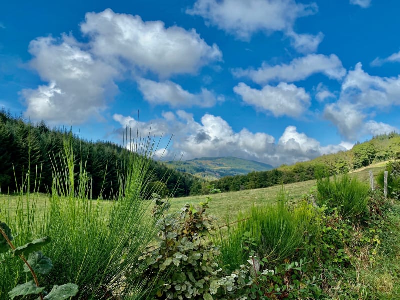 Belle balade en milieu rural aux alentours de Pré Grimaud - Arfeuilles