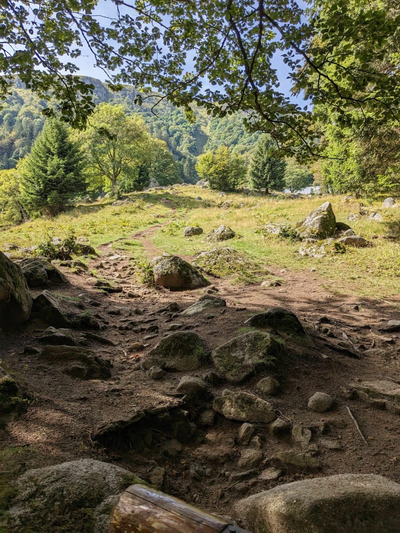 Boucle des trois fours en passant par Krappenfels et le Col du Schaeferthal - Xonrupt-Longemer